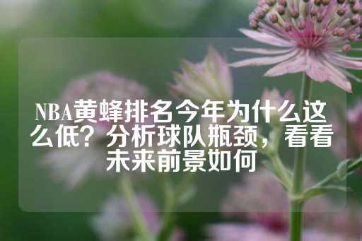 NBA黄蜂排名今年为什么这么低？分析球队瓶颈，看看未来前景如何