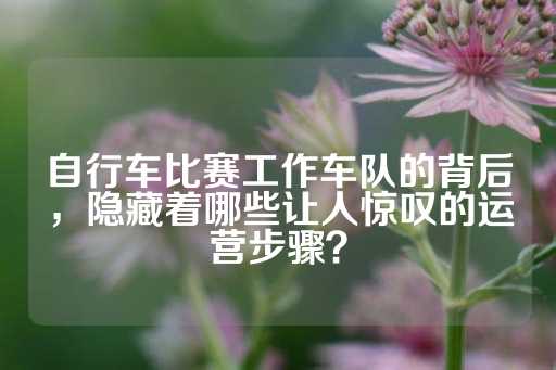 自行车比赛工作车队的背后，隐藏着哪些让人惊叹的运营步骤？