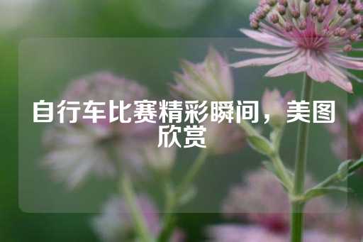 自行车比赛精彩瞬间，美图欣赏