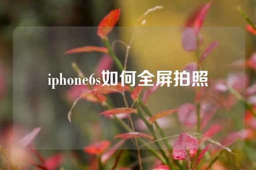 iphone6s如何全屏拍照